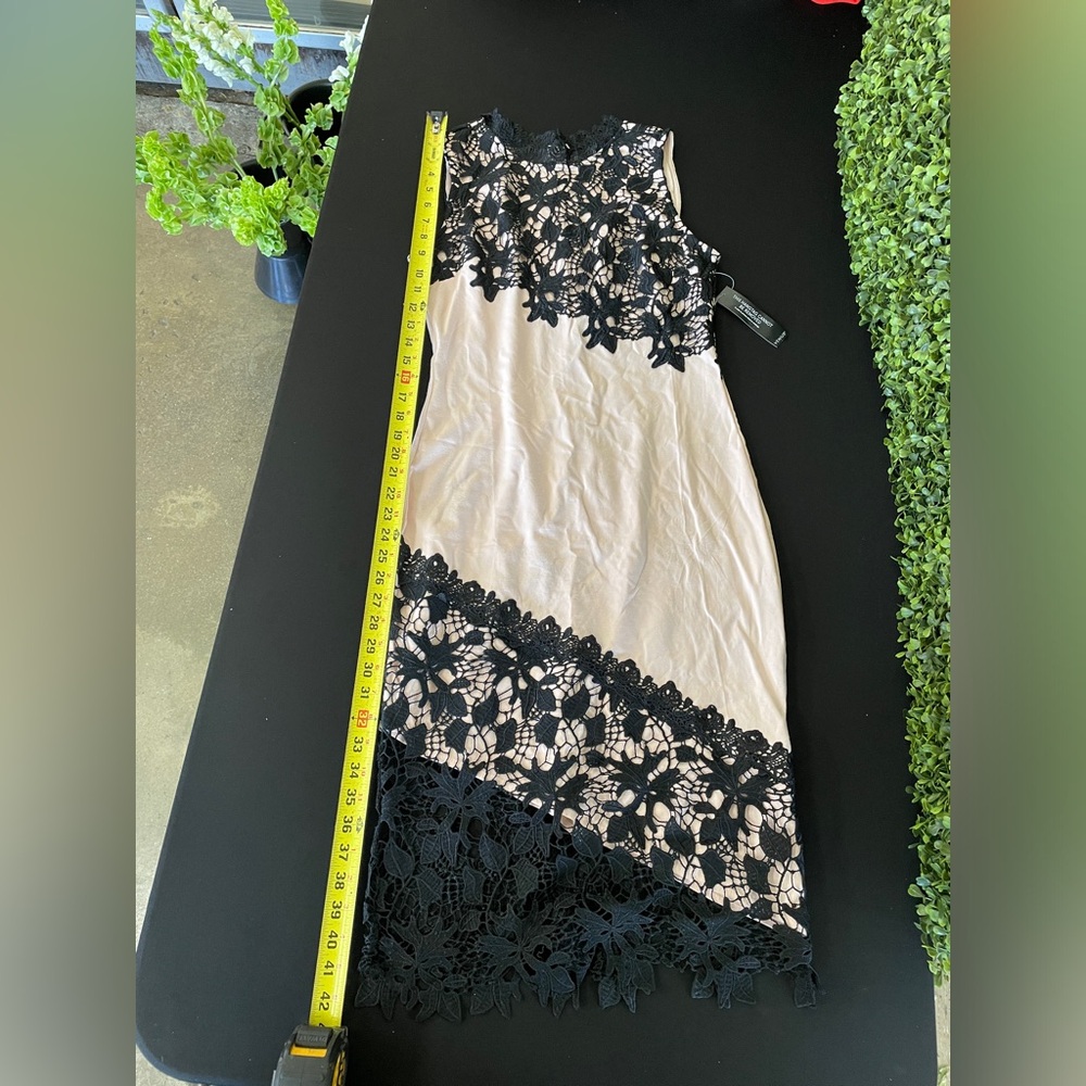 Venus Dress Size 10